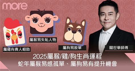 屬狗 皮夾顏色|2025年 屬狗適合什麼顏色皮夾？